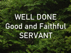 welldone 01580 367x275w